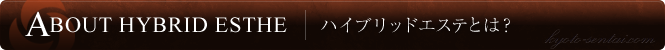 ハイブリッドエステとは？