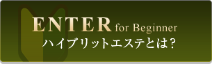 ハイブリットエステとは