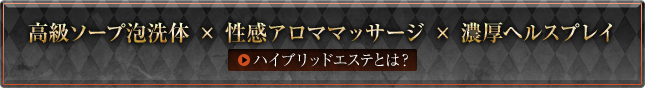 ハイブリットとは？