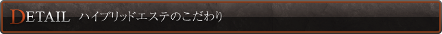 ハイブリッドエステのこだわり