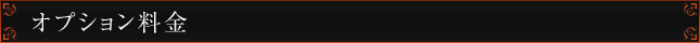 オプション料金