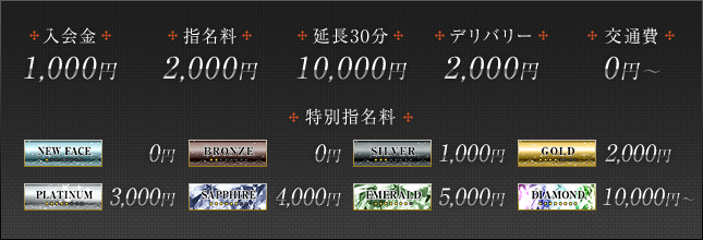 入会金、指名料、延長料金、デリバリー料金、交通費、特別指名料