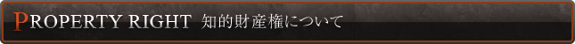知的財産権について