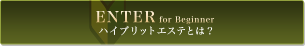 ハイブリットエステとは？